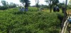 Ngày 17/5/2023 Hội Nông dân phối hợp cùng UBND xã Tam Vinh tổ chức chuyến tham quan, học tập kinh nghiệm trồng ớt tại xã Tam Thành Huyện Phú Ninh.
